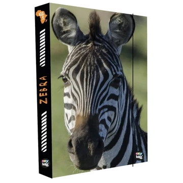 Füzetbox A/4 Oxy Jumbo - Zebra