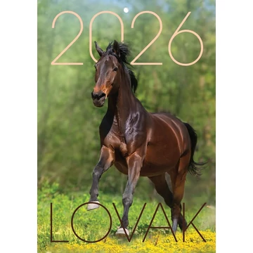 Naptár fali T-Calendar A/4 tűzött, Lovak 