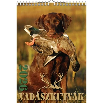 Naptár fali T-Calendar 23x33cm spirálozott, Vadászkutyák 