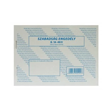Szabadság engedély A/6 (50x2) fekvő  B.18-49/V PR.