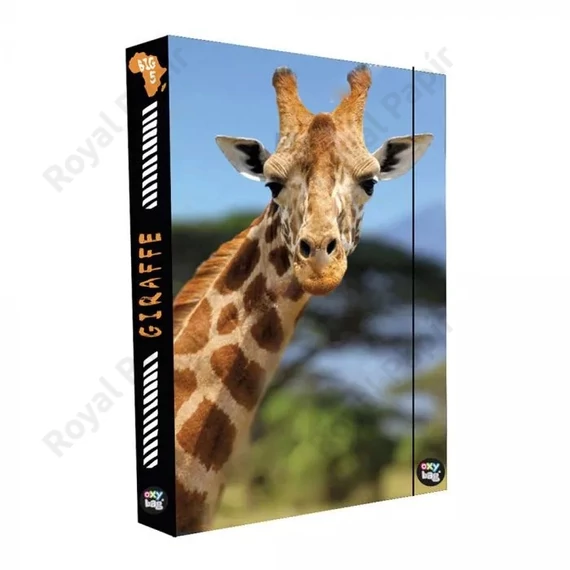 Füzetbox A/4 Oxy Jumbo - Giraffe