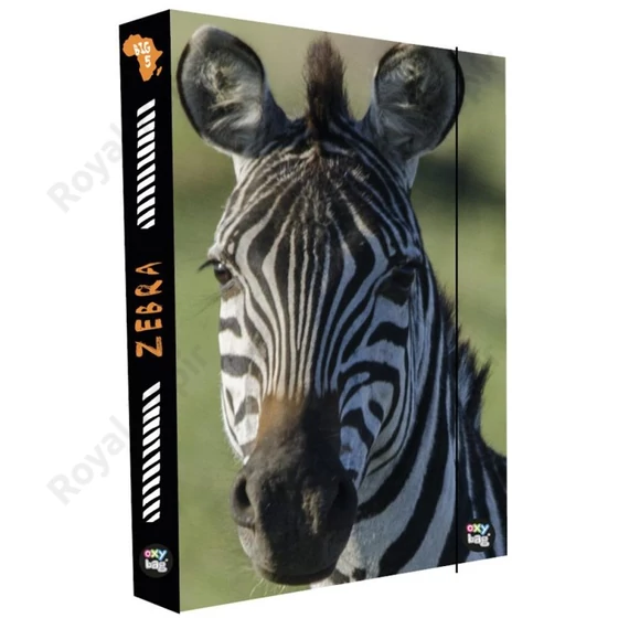 Füzetbox A/4 Oxy Jumbo - Zebra