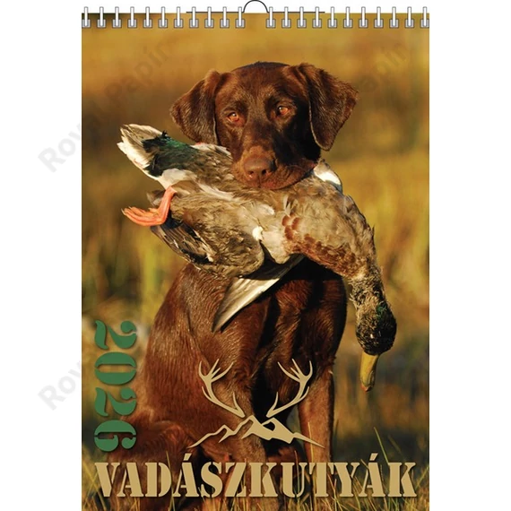Naptár fali T-Calendar 23x33cm spirálozott, Vadászkutyák 