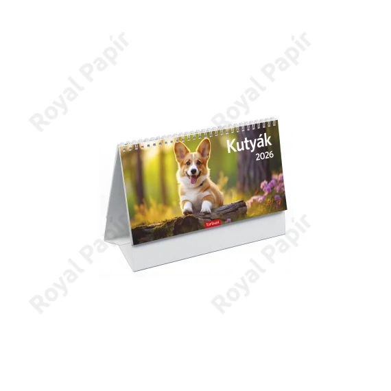 Képes asztali naptár midi (24x12,8) 2026  KUTYÁK álló papírtáblás  T0581P